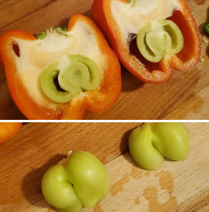 Illustration de l'article : Ces 15 surprises comme seule la nature peut en faire