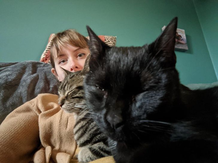 Illustration de l'article : Ces 19 photos illustrant les plus belles amitiés entre animaux de compagnie