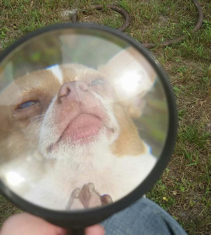 Illustration de l'article : Ces 17 photos prises au bon moment au bon endroit