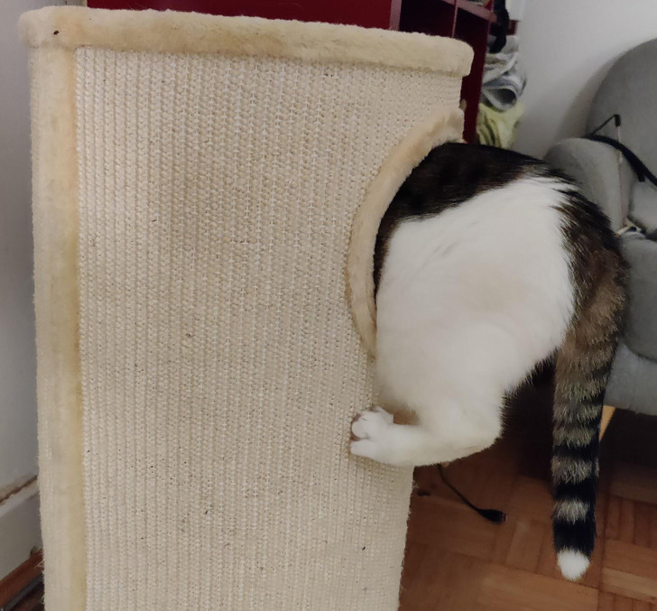 Illustration de l'article : Ces 19 photos qui témoignent des mauvais jours