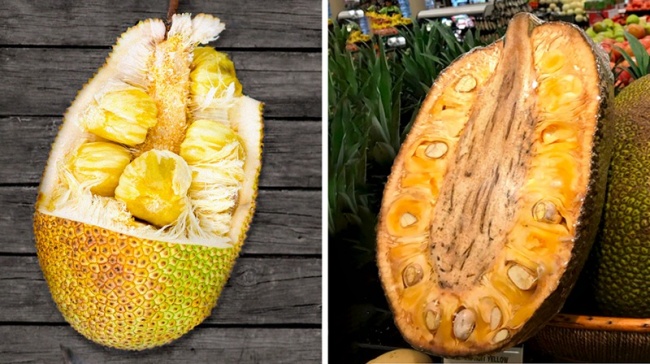 Illustration de l'article : 20 fruits exotiques rares à connaître si vous partez en exploration dans la forêt tropicale