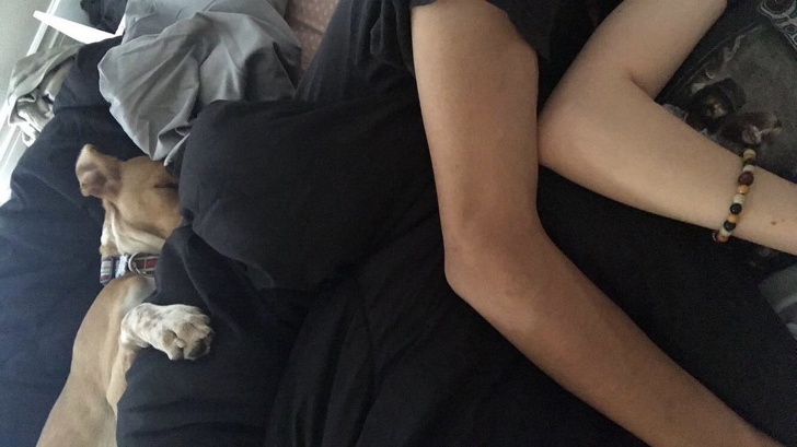 Illustration de l'article : Ces 16 photos de moments tendres de la vie