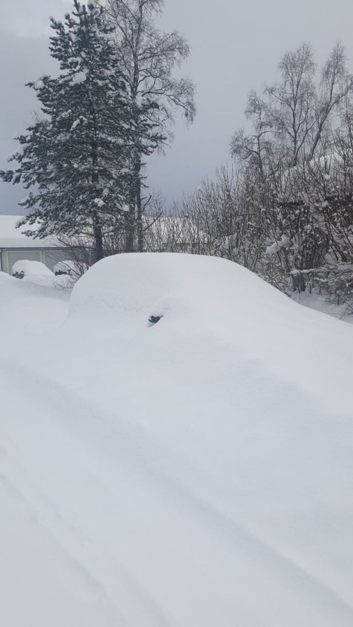 Illustration de l'article : Ces 20 photos qui illustrent le quotidien de personnes malchanceuses