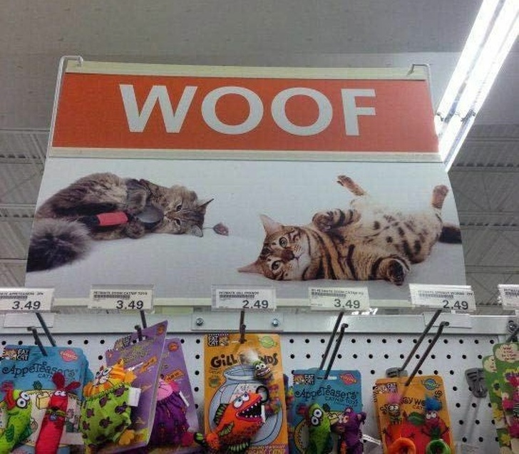 Illustration de l'article : Ces 20 fois où les employés pourraient prendre la porte