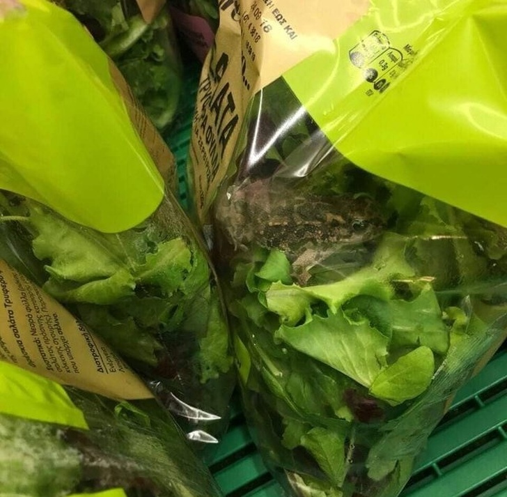 Illustration de l'article : Ces 17 photos de situations assez cocasses