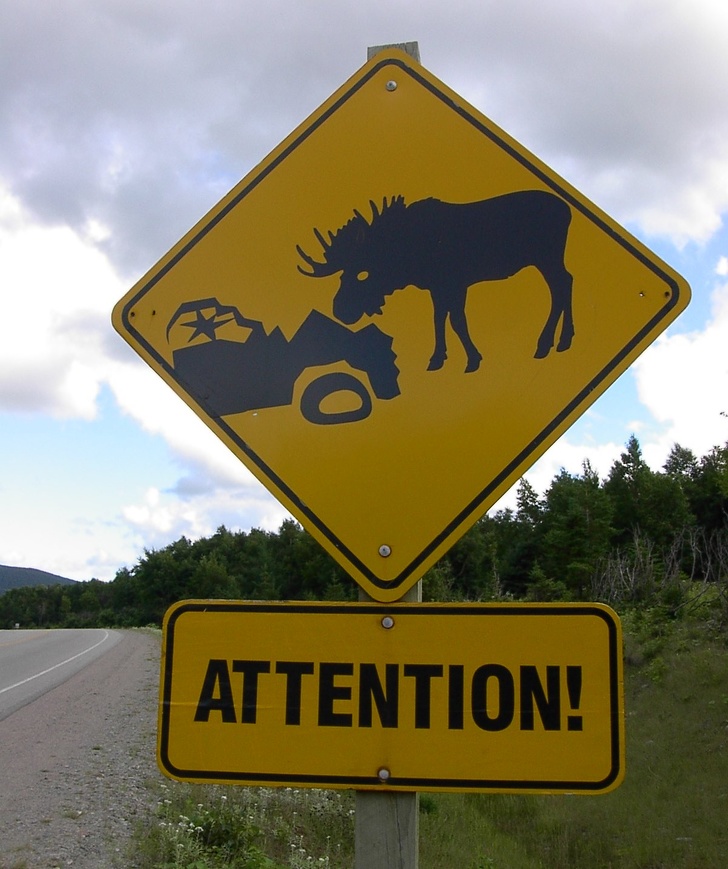 Illustration de l'article : Ces 21 photos pour découvrir le Canada