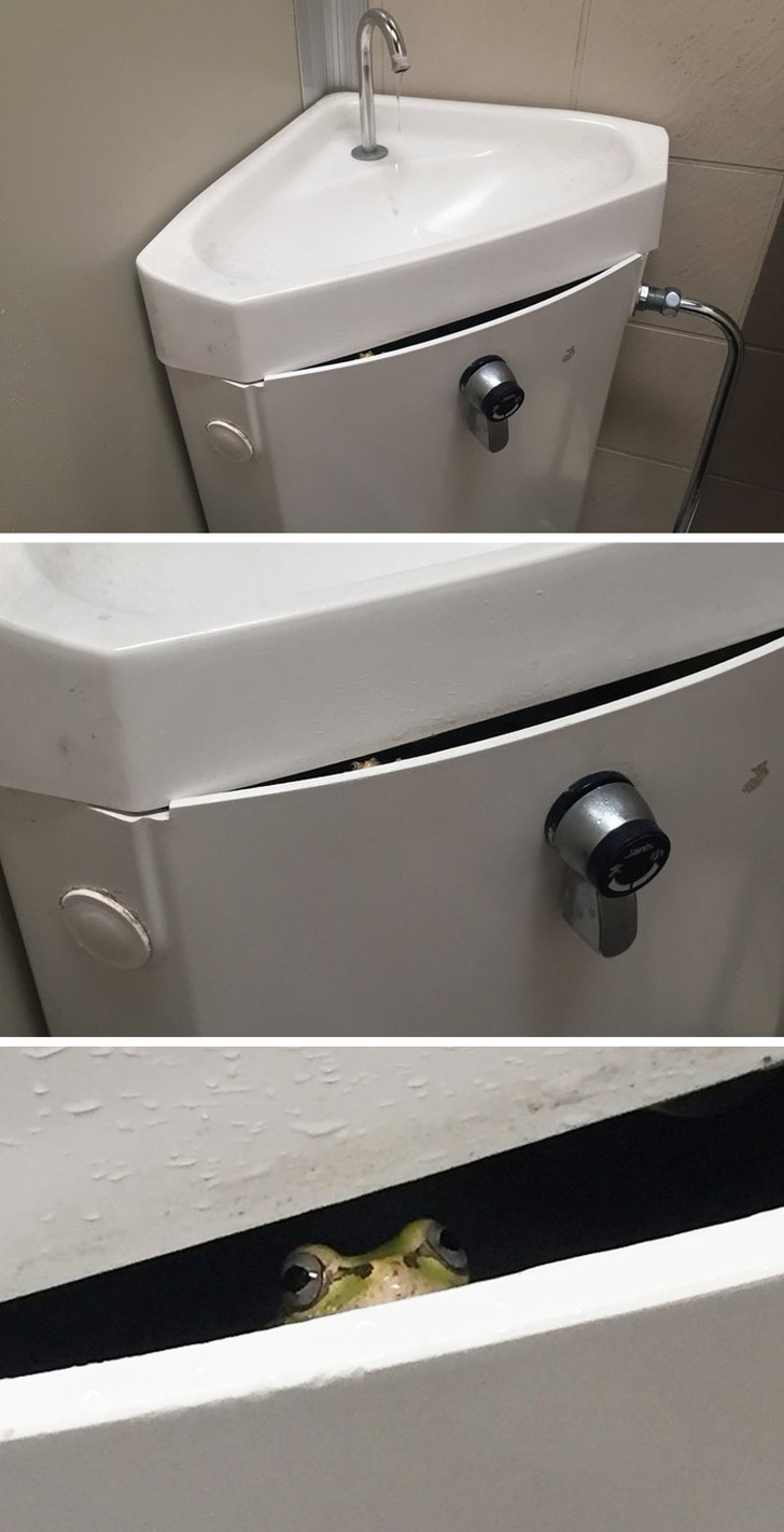 Illustration de l'article : Ces 23 curiosités qui montrent qu'il faut être attentif autour de soi