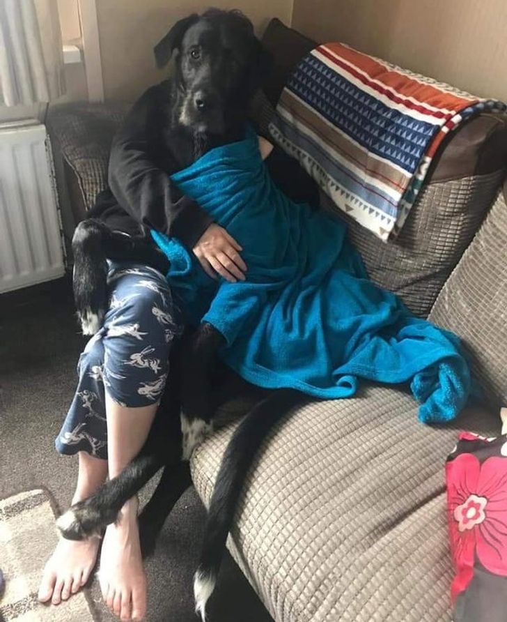 Illustration de l'article : Ces 15 petites découvertes partagées par des internautes