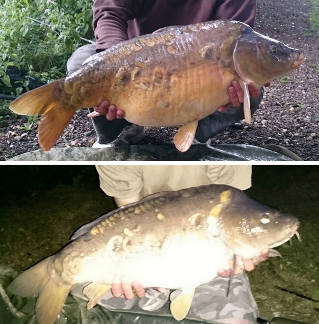 Illustration de l'article : 27 coïncidences immortalisées par un appareil photo