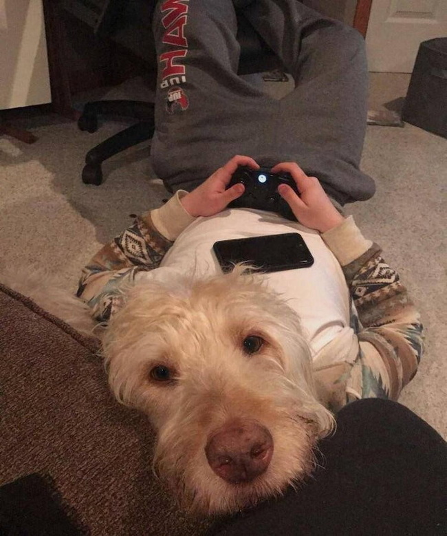 Illustration de l'article : Il est facile de prendre une chose pour une autre comme le montrent ces 20 photos