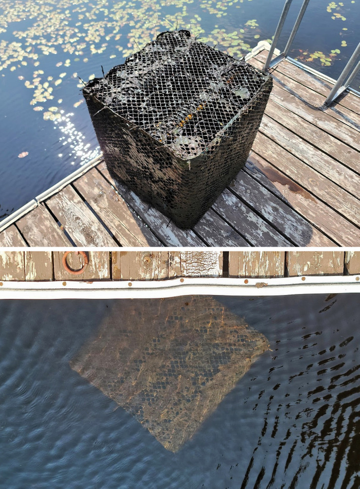 Illustration de l'article : Ces 20 photos de tr&eacute;sors d&eacute;couverts lors de r&eacute;novations