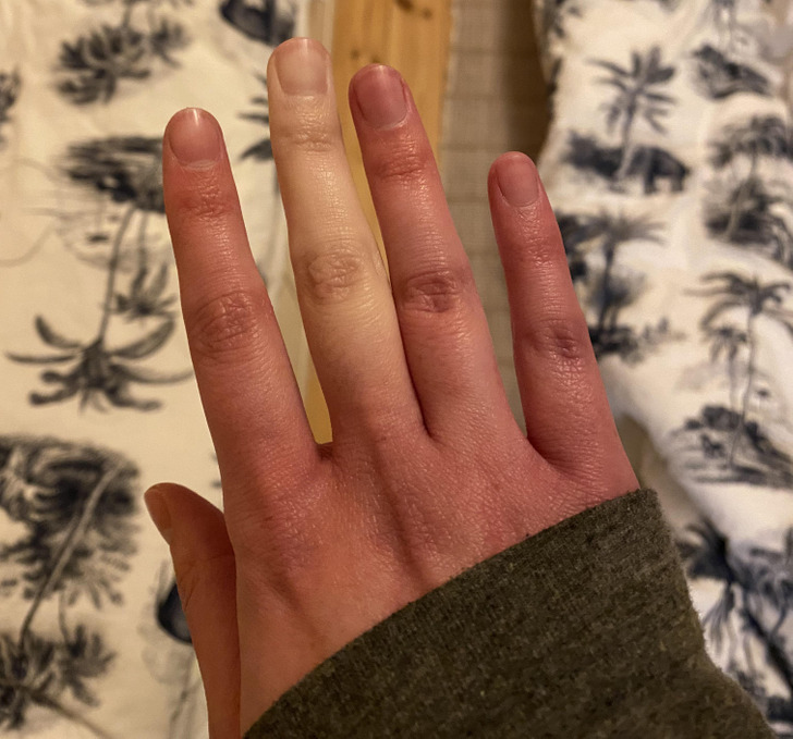 Illustration de l'article : Ces 17 photos qui montrent que Dame Nature a de l'humour