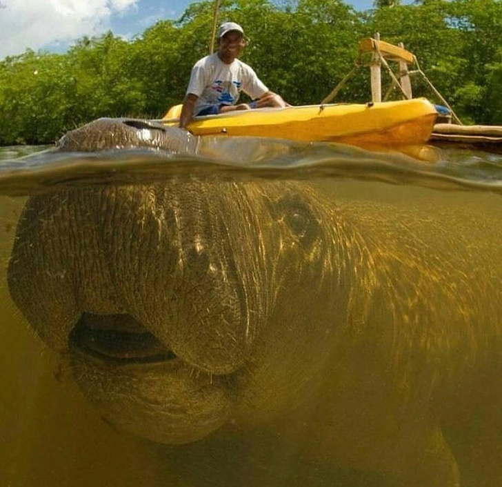 Illustration de l'article : Ces 19 photos devenues mémorables grâce à leur arrière-plan