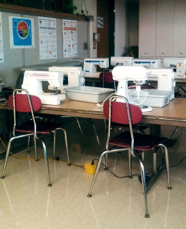 Illustration de l'article : Qui a vraiment le niveau pour trouver l'intrus sur ces 100 photos ? 