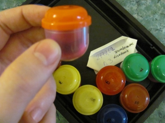 Illustration de l'article : 13 astuces indispensables pour préparer votre voyage confortablement