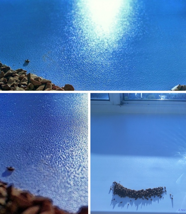 Illustration de l'article : Selon l'angle de vue, ces 24 photos montrent tout autre chose