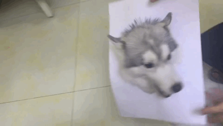 Illustration de l'article : Ces 14 photos qui rendent de bonne humeur