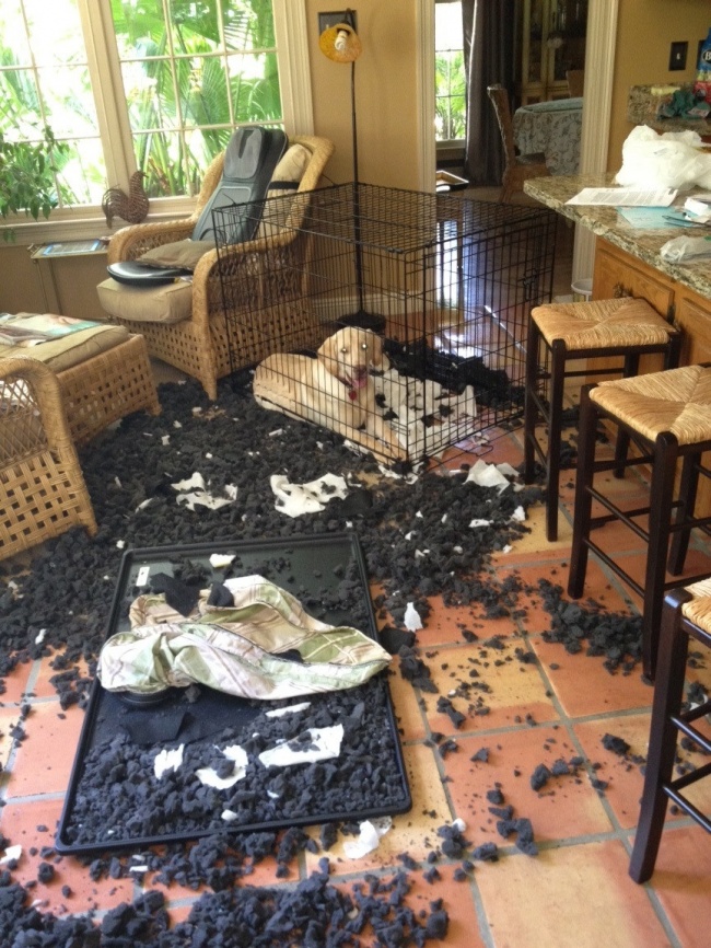 Illustration de l'article : Dans ces 24 situations il faut savoir garder son calme