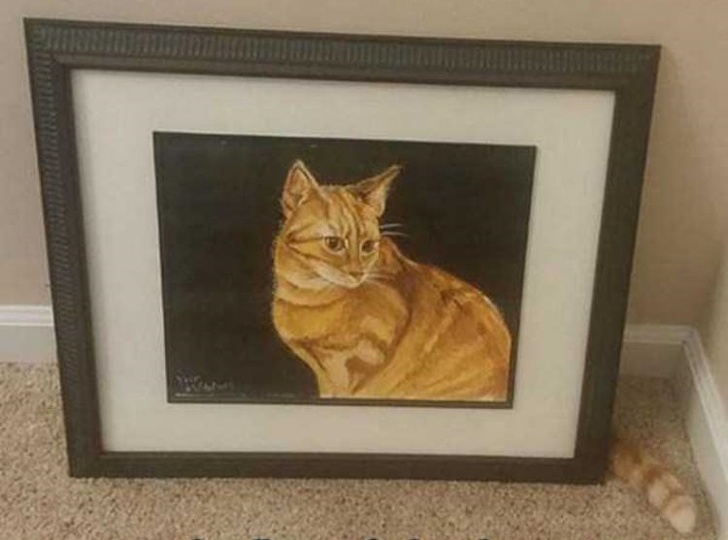 Illustration de l'article : Ces 20 scènes qui montrent que la photo est parfois une question de chance