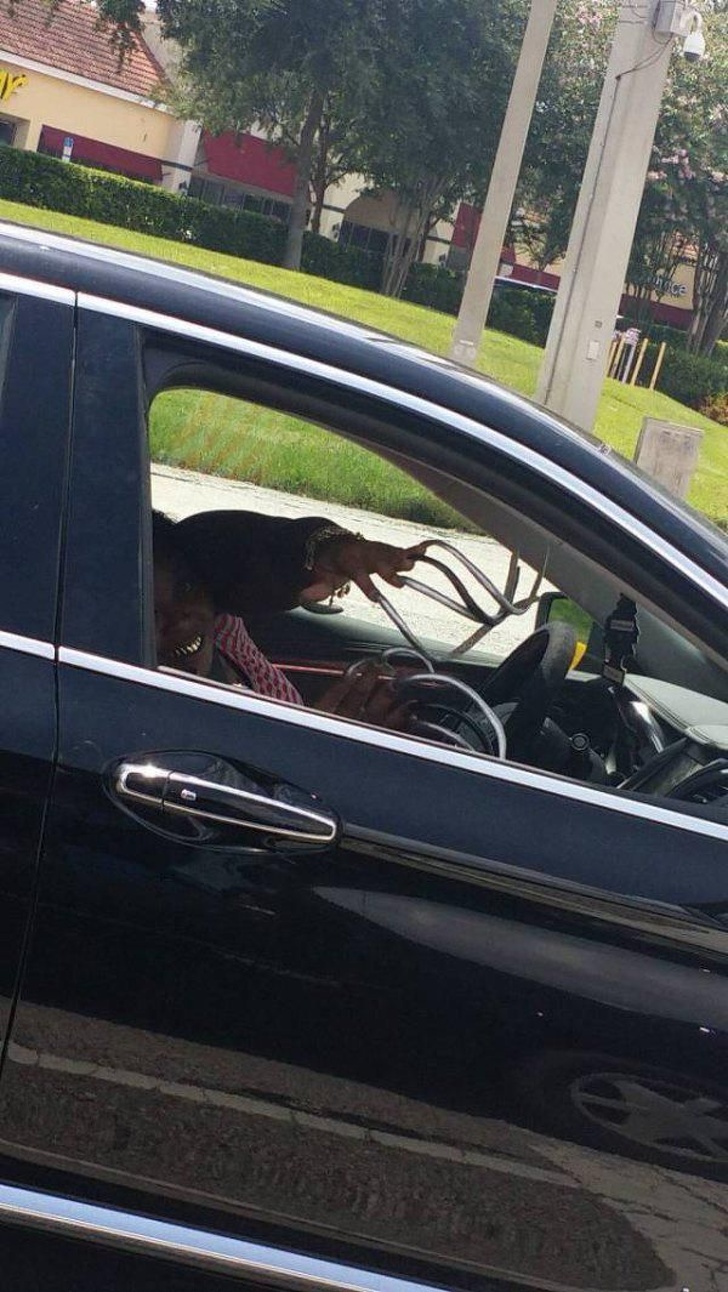 Illustration de l'article : Ces 16 photos de situations consternantes ou décevantes