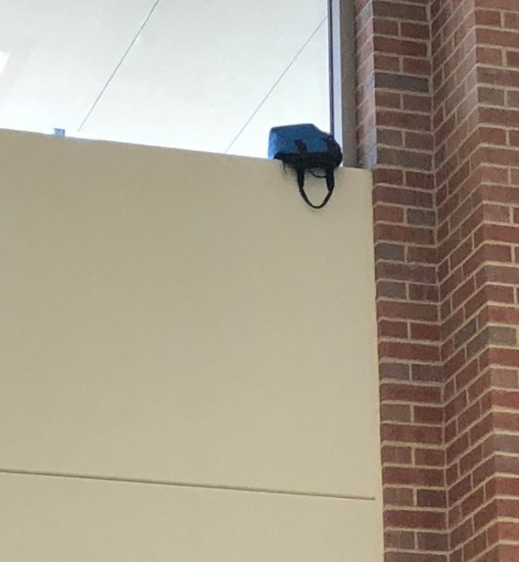 Illustration de l'article : Ces 22 situations qui ne se produisent pas à tous les coins de rue