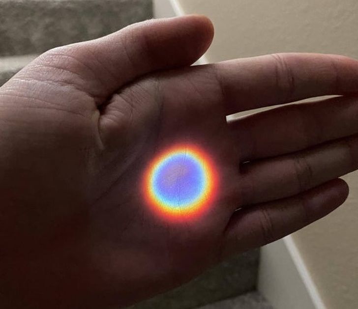 Illustration de l'article : Ces 20 photos qui montrent que la nature est bien faite