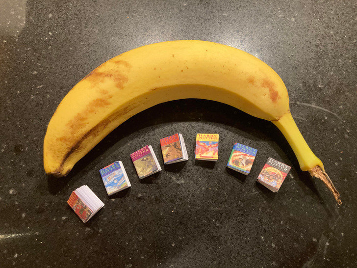 Illustration de l'article : Ces 20 photos de collections insolites en tous genres