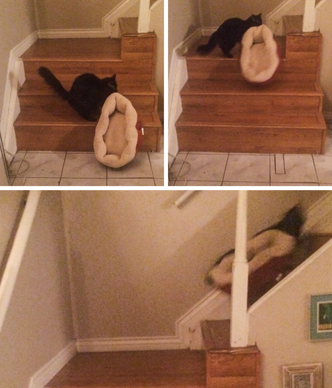 Illustration de l'article : Ces 21 photographies montrent l’absurdité de certaines situations