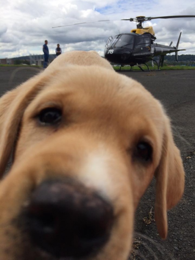 Illustration de l'article : 28 personnes qui ont vécu une expérience dont elles se souviendront toute leur vie