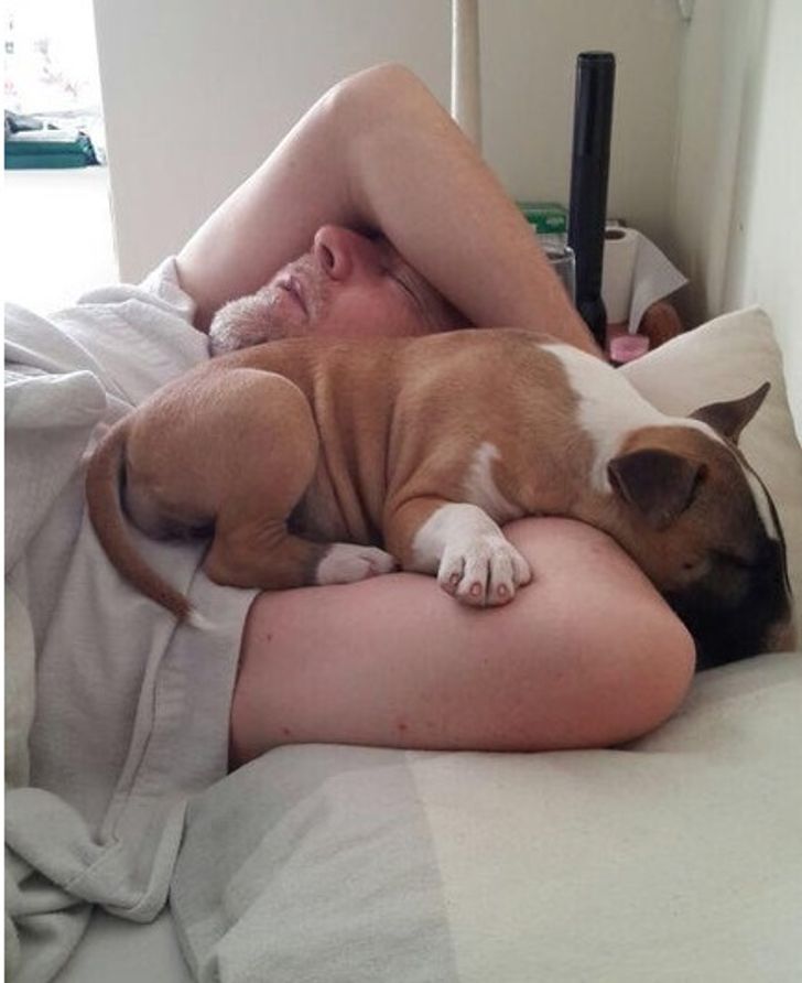 Illustration de l'article : Ces 20 personnes qui étaient contre adopter un animal de compagnie