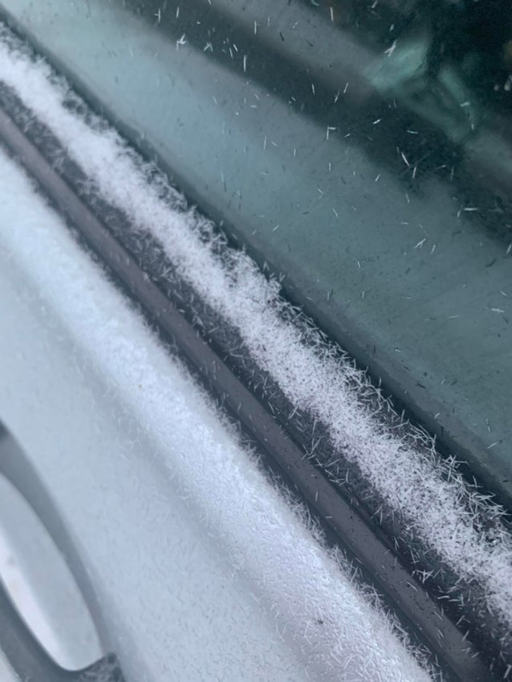 Illustration de l'article : Ces 20 photos d'éléments ordinaires qui ont quelque chose en plus