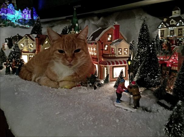 Illustration de l'article : 20 chiens et chats qui ont ruiné Noël en s’en prenant au sapin