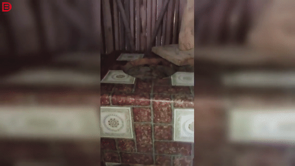 Illustration de l'article : Ces 20 personnes qui n'ont pas eu de chance pendant leurs vacances