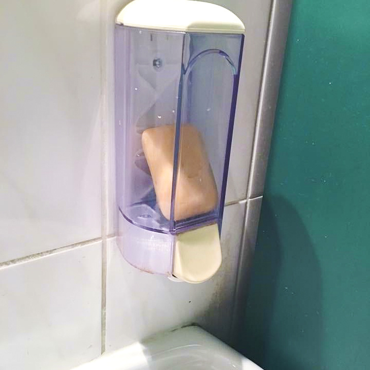 Illustration de l'article : Ces 14 personnes qui tentent d'apprendre la vie