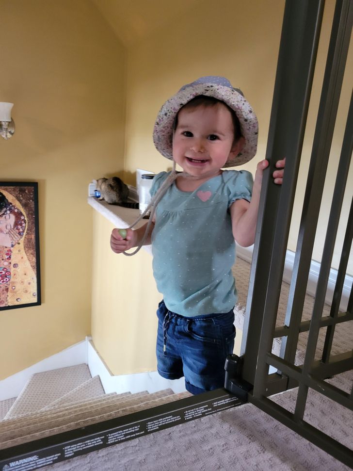 Illustration de l'article : Ces 20 photos qui montrent que tout est question d'angle de vue