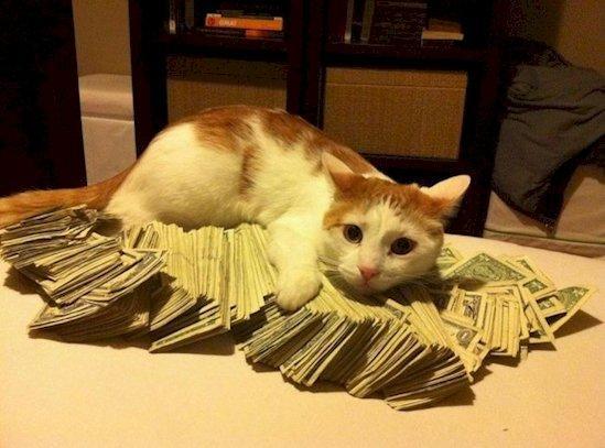 Illustration de l'article : 13 choses que seuls les millionnaires peuvent faire