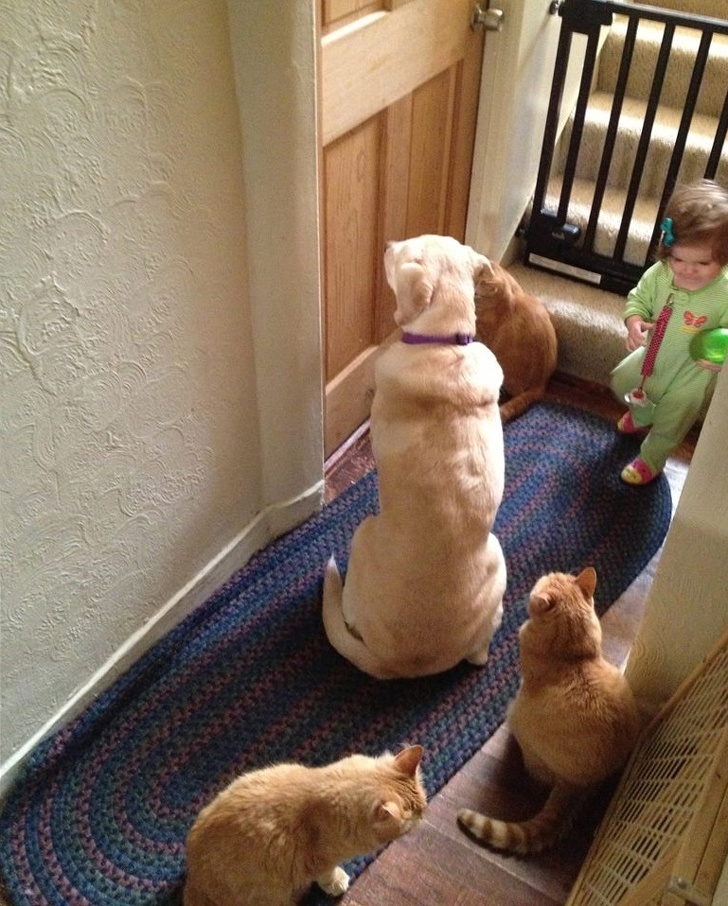 Illustration de l'article : Ces 14 photos qui montrent qu'avoir des enfants n'est pas de tout repos