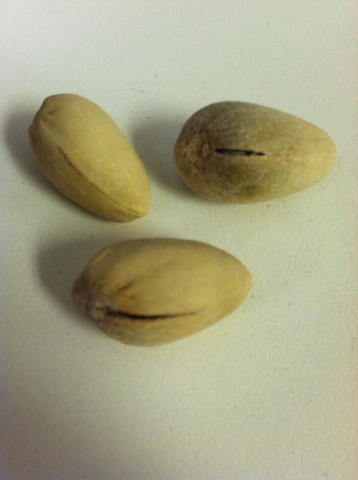 Illustration de l'article : Ces 17 photos qui montrent ce qu'est un mauvais jour