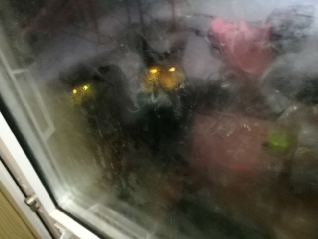 Illustration de l'article : Ces 20 photos donnent la chair de poule