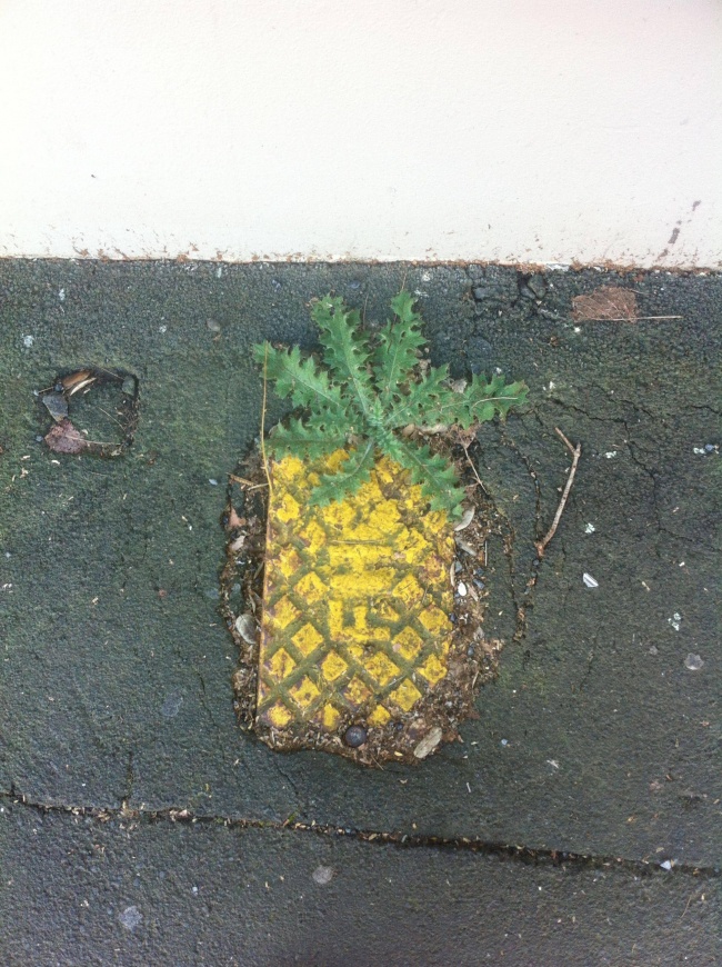 Illustration de l'article : 26 choses qui ne sont pas ce qu’elles paraissent