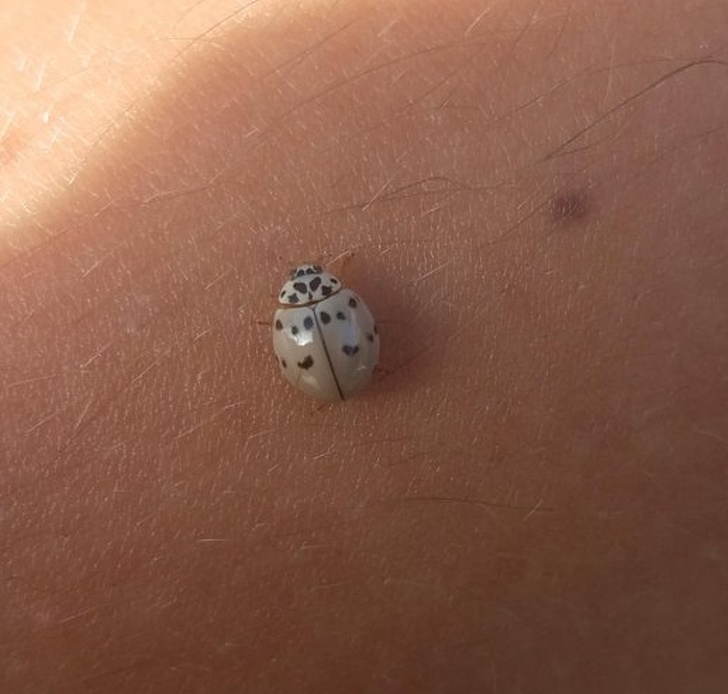 Illustration de l'article : Ces 22 images qui donnent un regard nouveau sur le monde