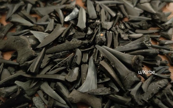 Illustration de l'article : Ces 20 personnes qui ont fait de bonnes trouvailles