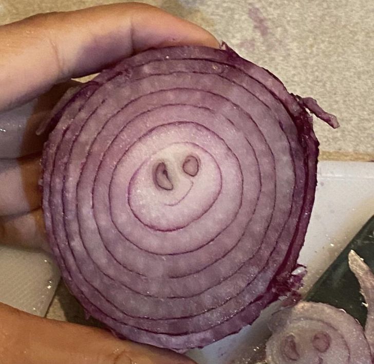 Illustration de l'article : Ces 18 photos illustrant les petites coïncidences de la vie