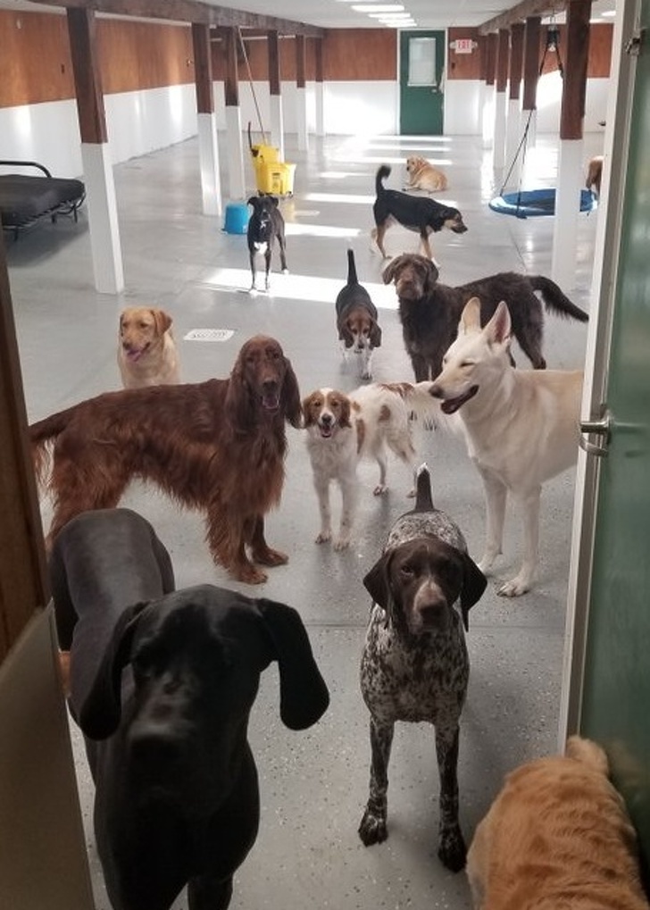 Illustration de l'article : Ces 21 fois où la chance est tombée par hasard