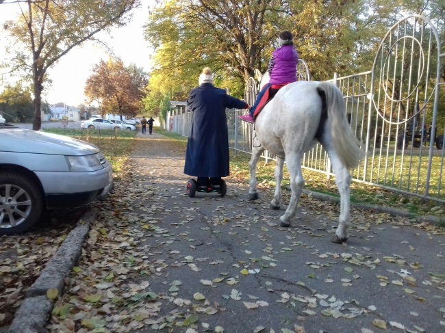 Illustration de l'article : 23 photos qui vont bousculer toutes vos connaissances fondamentales