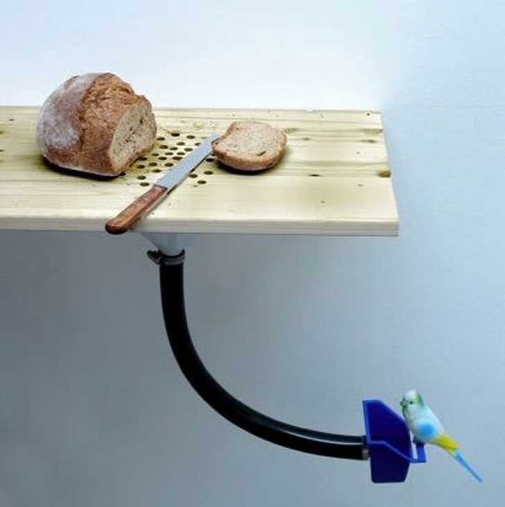 Illustration de l'article : Ces 13 objets qui vont rapidement devenir indispensables