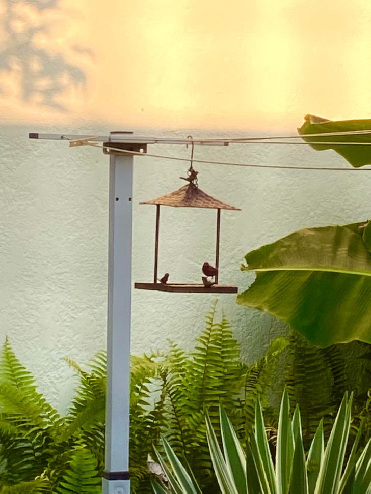 Illustration de l'article : Ces 20 photos qui montrent que tout est question d'angle de vue