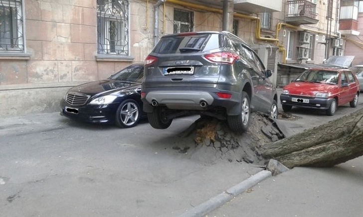 Illustration de l'article : Ces 25 personnes qui vivent une journée dont ils se souviendront longtemps