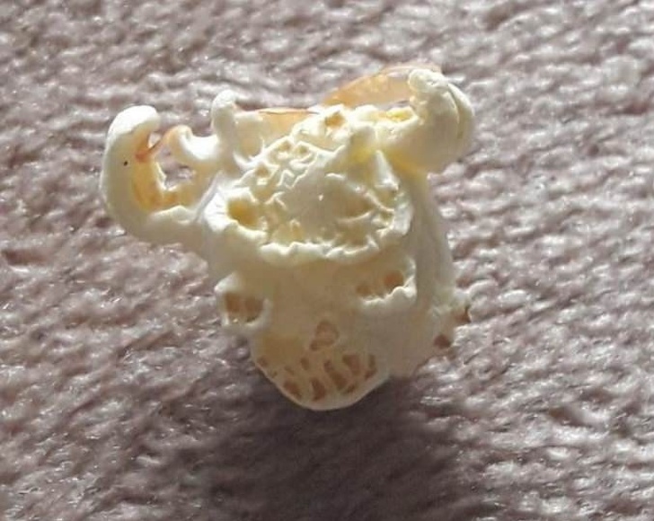 Illustration de l'article : Ces 20 curiosités qui trompent l'esprit en ressemblant à quelque chose d'autre