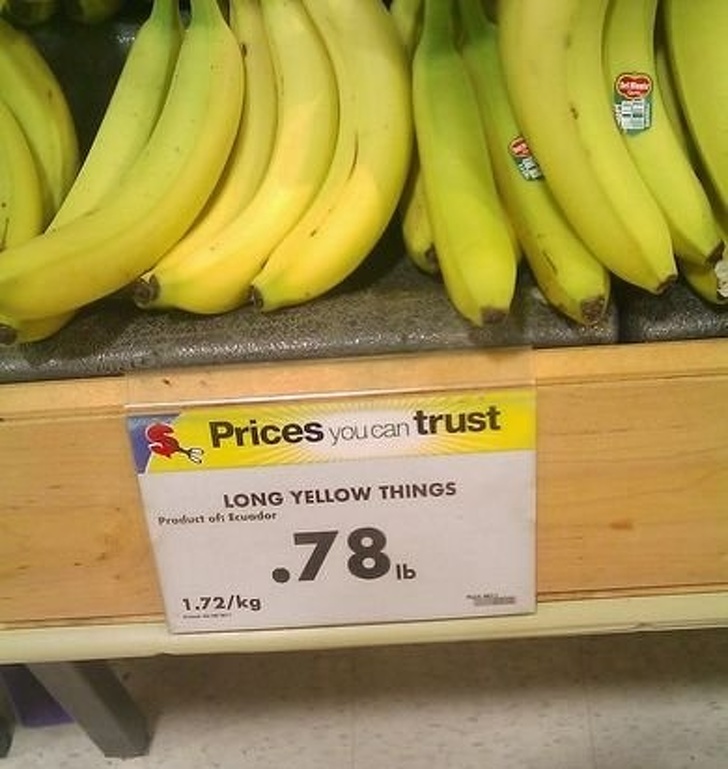 Illustration de l'article : Ces 18 personnes qui ont réalisé une grosse bourde